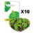 10 Ps. Pluksalat Frø – Baby Leaf Blanding