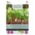 Microgreens – Bladbede Mangold Swiss Chard Rainbow Blanding