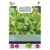Microgreens – Blandet Salat